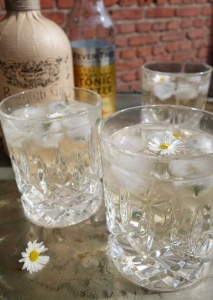 Elderflower G&T