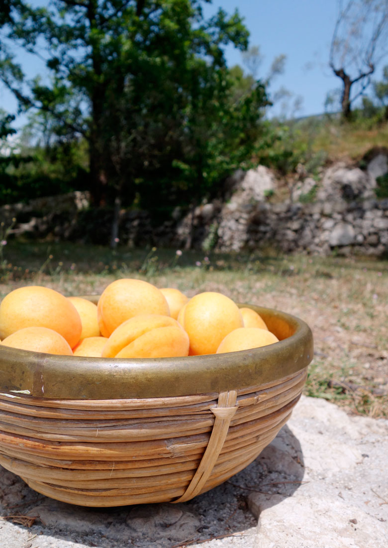 Apricot marmelade