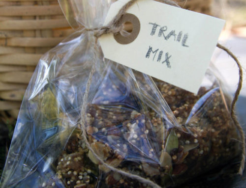 Energizing Trail Mix for adventurers